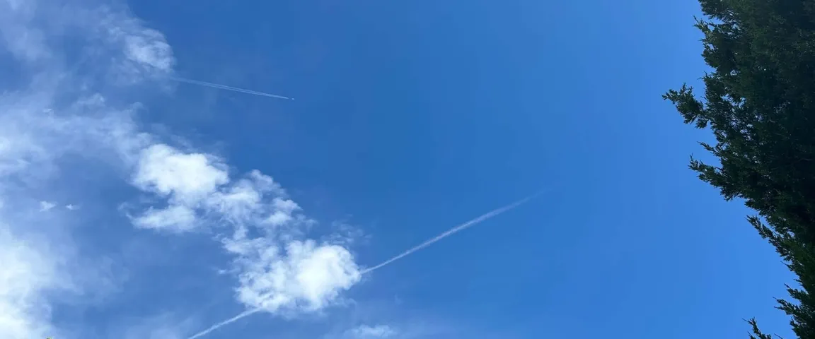 Blue skies and green trees
