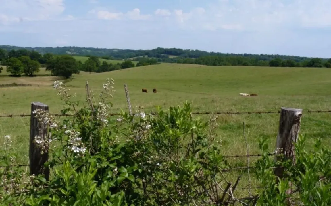 we buy your land Texas