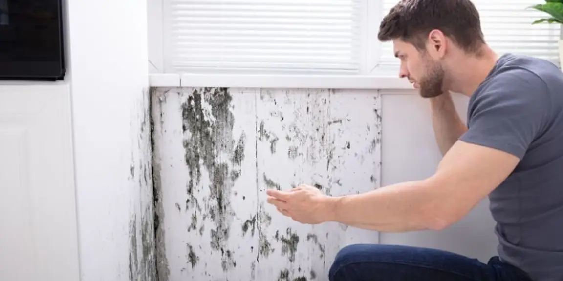 How to Sell a House with Mold in Louisiana