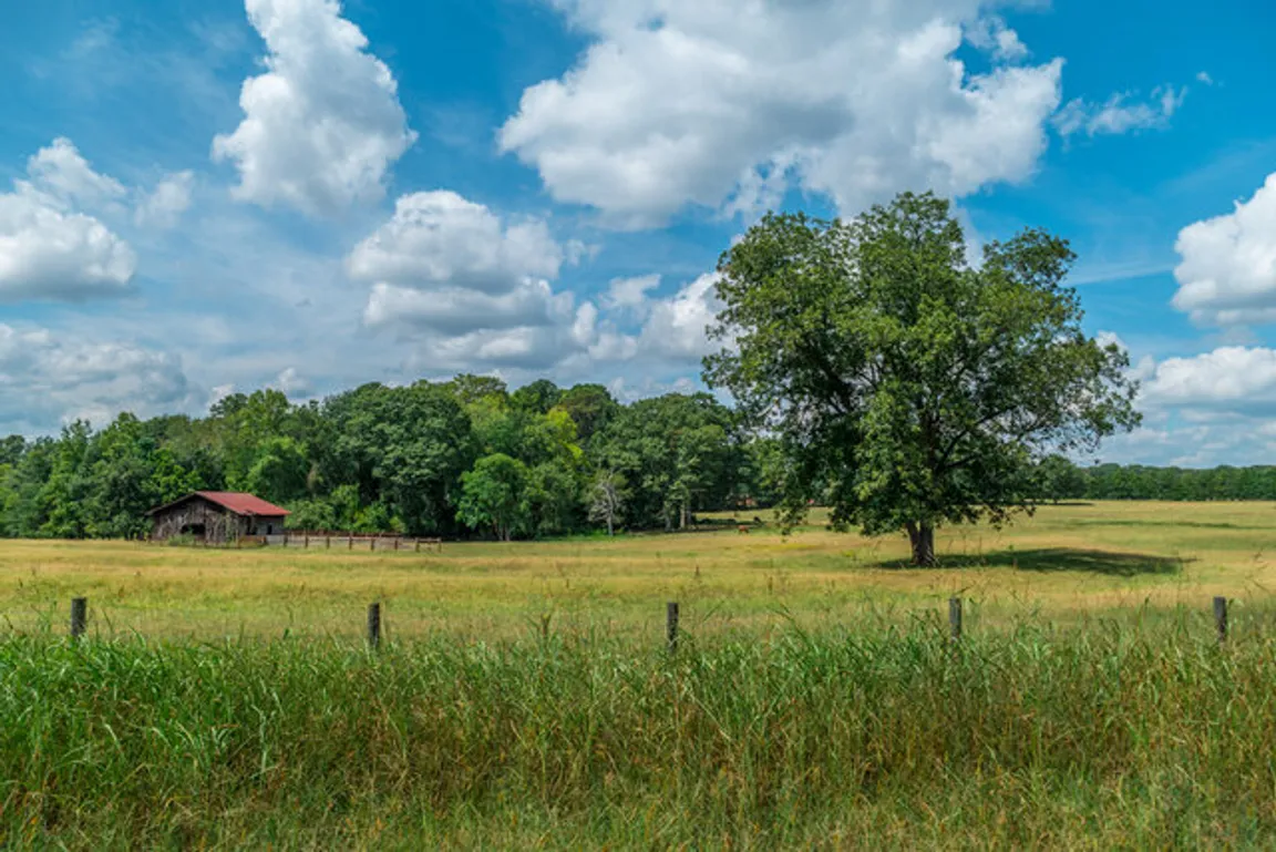 Sell Your Land In Chattanooga, TN We Buy Land Cash!