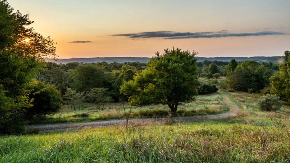 Sell Your Land In Nashville, TN We Buy Land Cash!