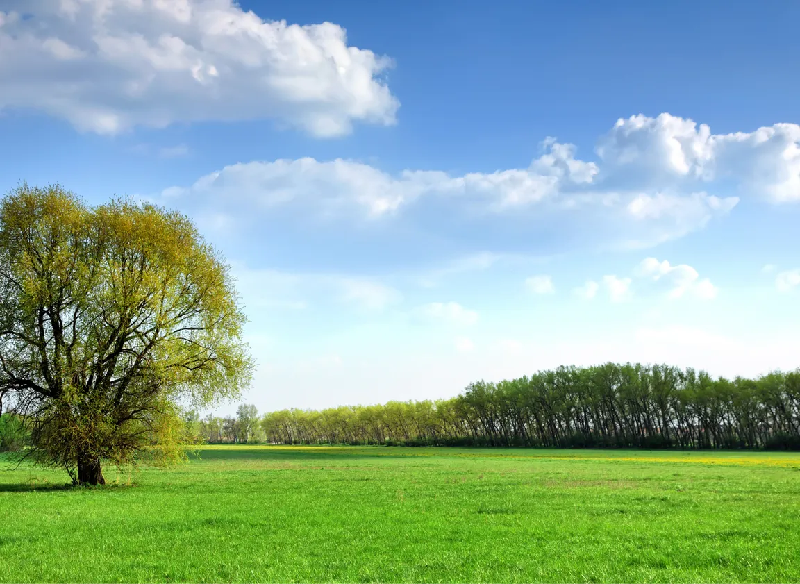 How to Sell Land by Owner Fast Cash In Florida