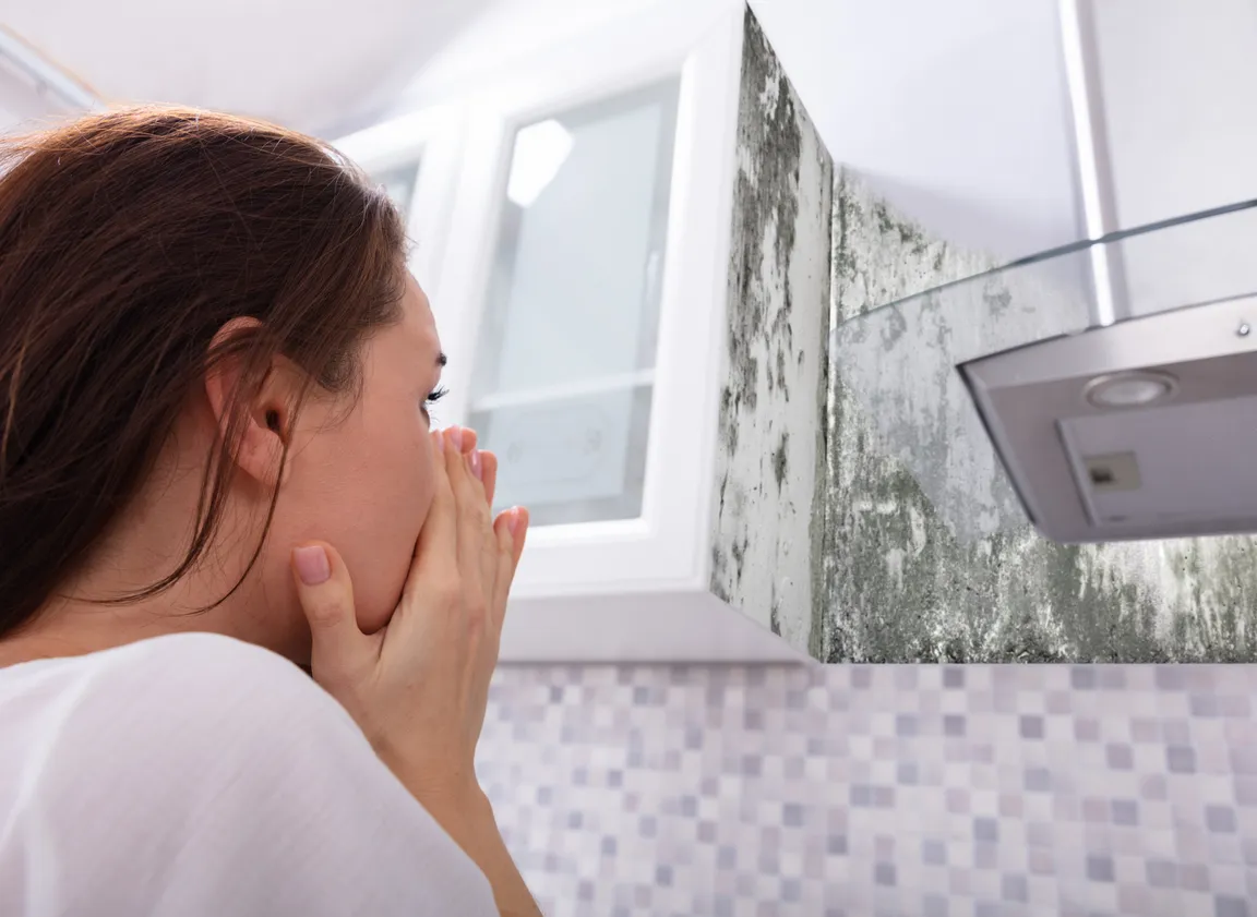 How to Sell a House With Mold in California