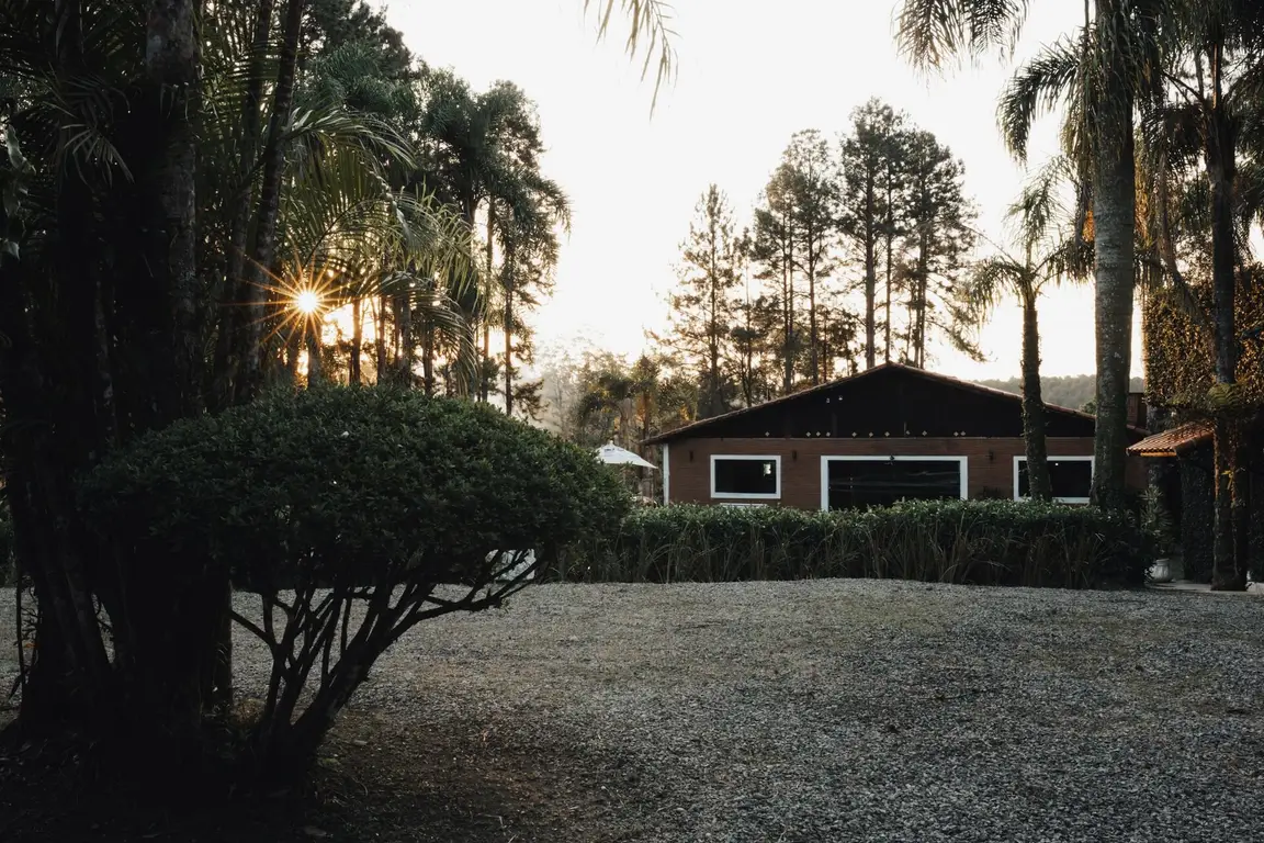 Gravel driveway leading through wooded property to a home in Crystal River, Florida