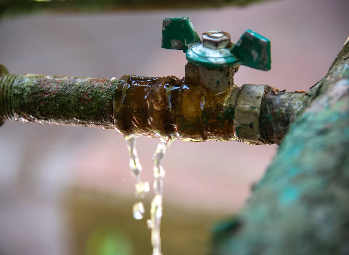 Putting a Water Damaged House on the Market Illinois