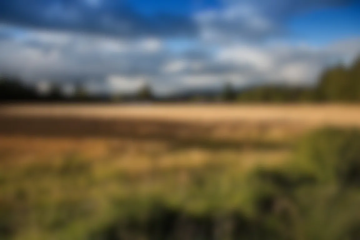 We Buy Land Florida