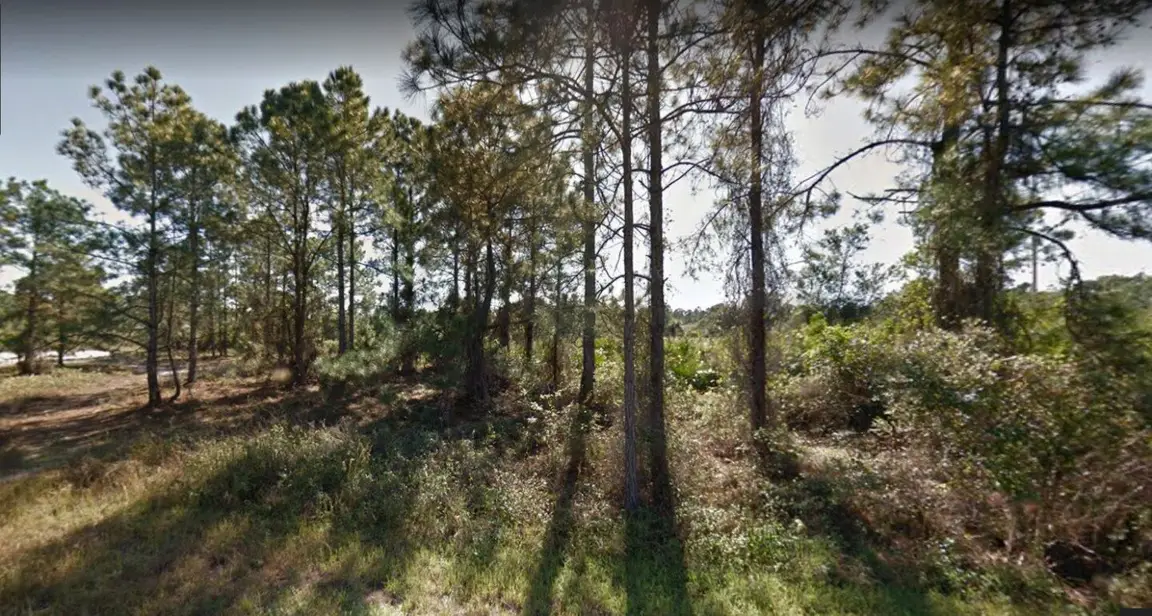 sell your vacant land today