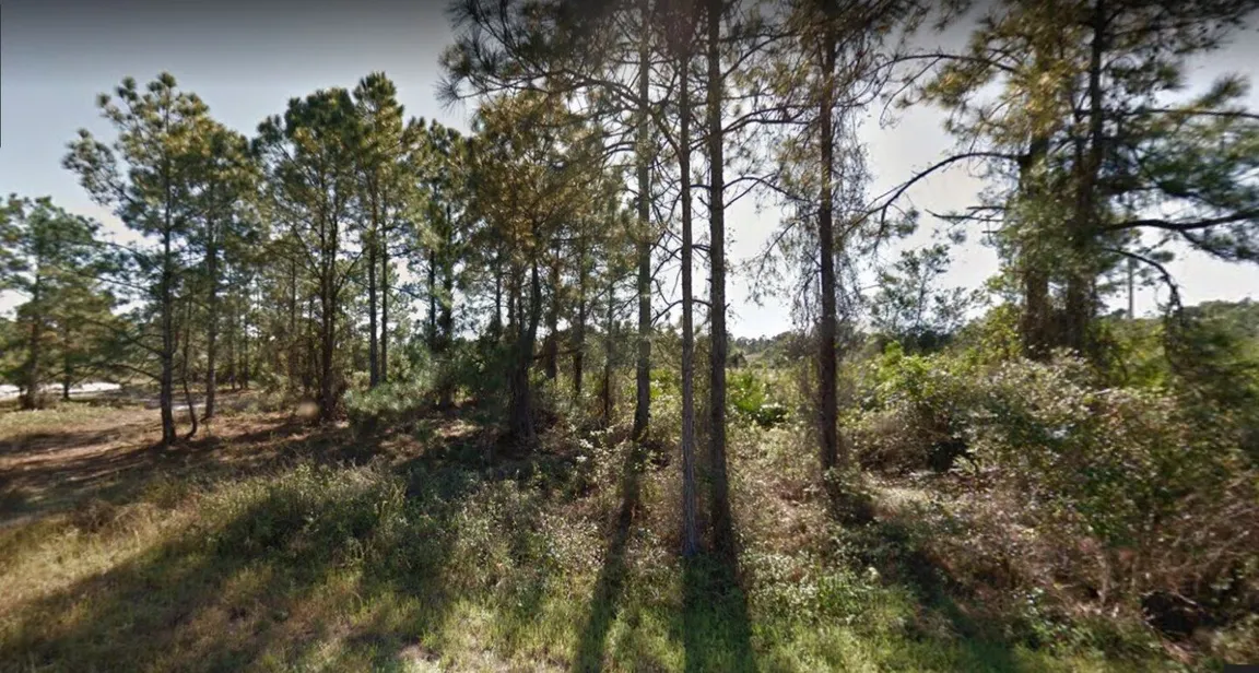 sell your vacant land today