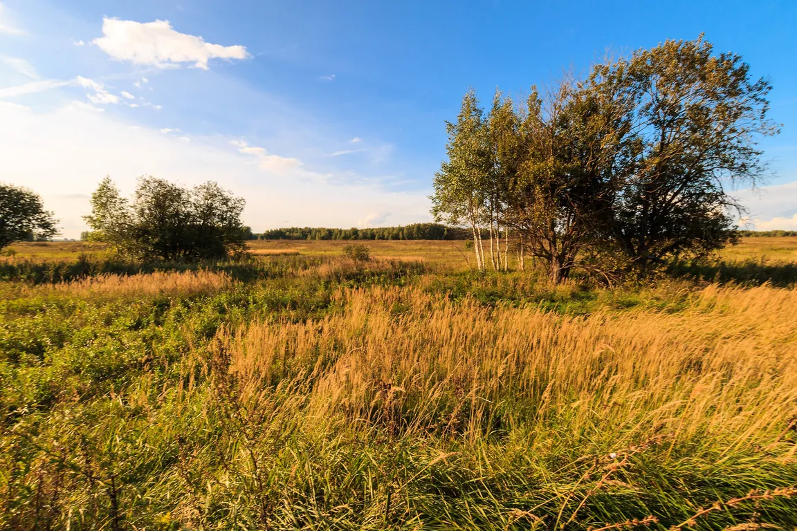 Sell Your Vacant Land