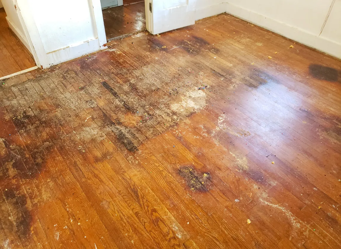 Tenant Inflicted Property Damage In Massachusetts