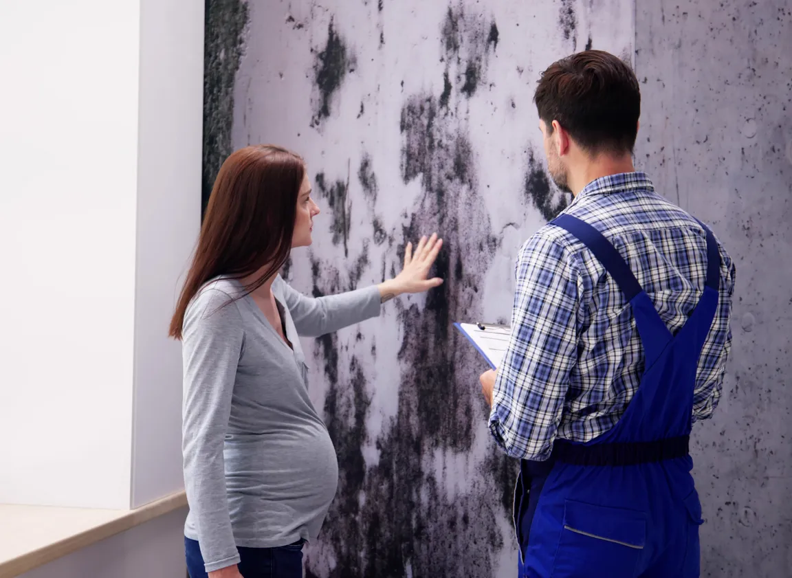 We Buy House Fast With Mold in Massachusetts