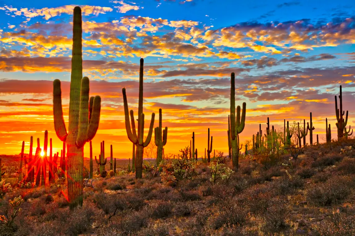 Need to sell a house in Az?