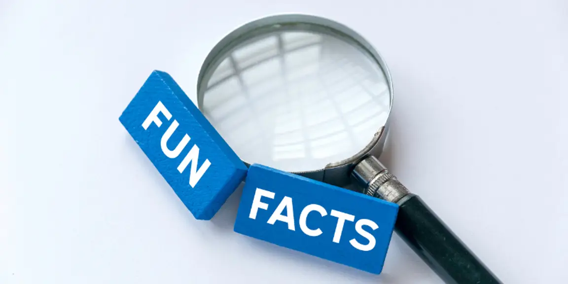 Cool Facts [market_city]