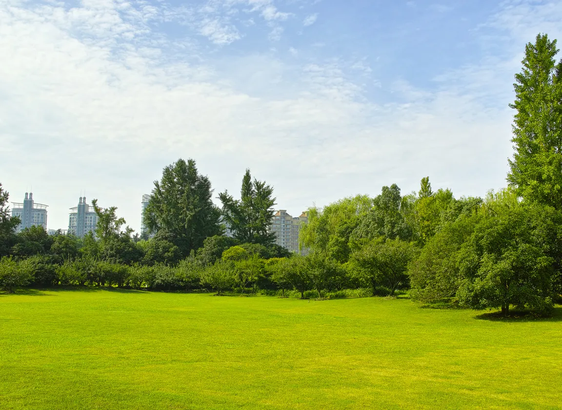 Land Selling Tax Requirements in Texas 