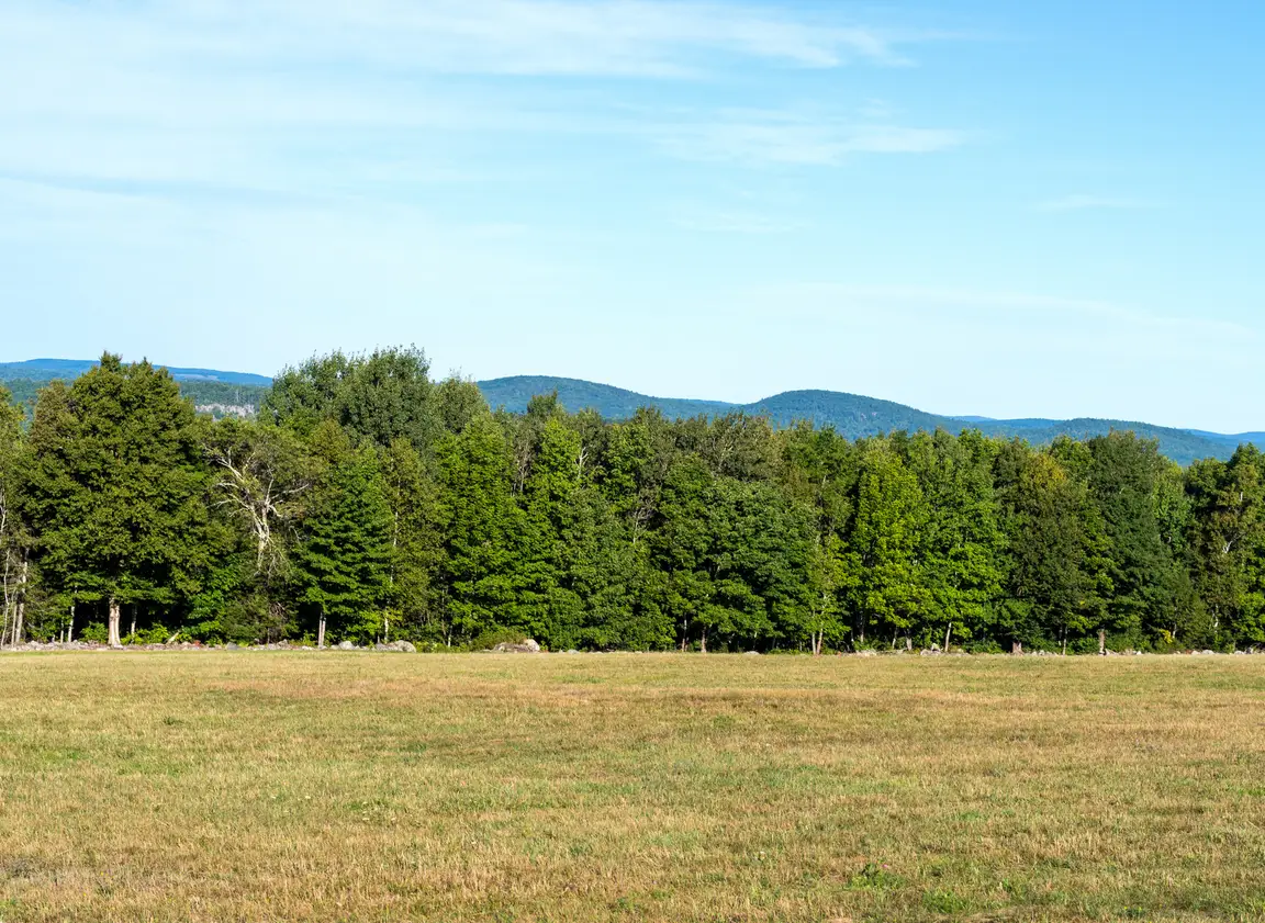 Vacant Land Purchase and Sale Agreement in Texas