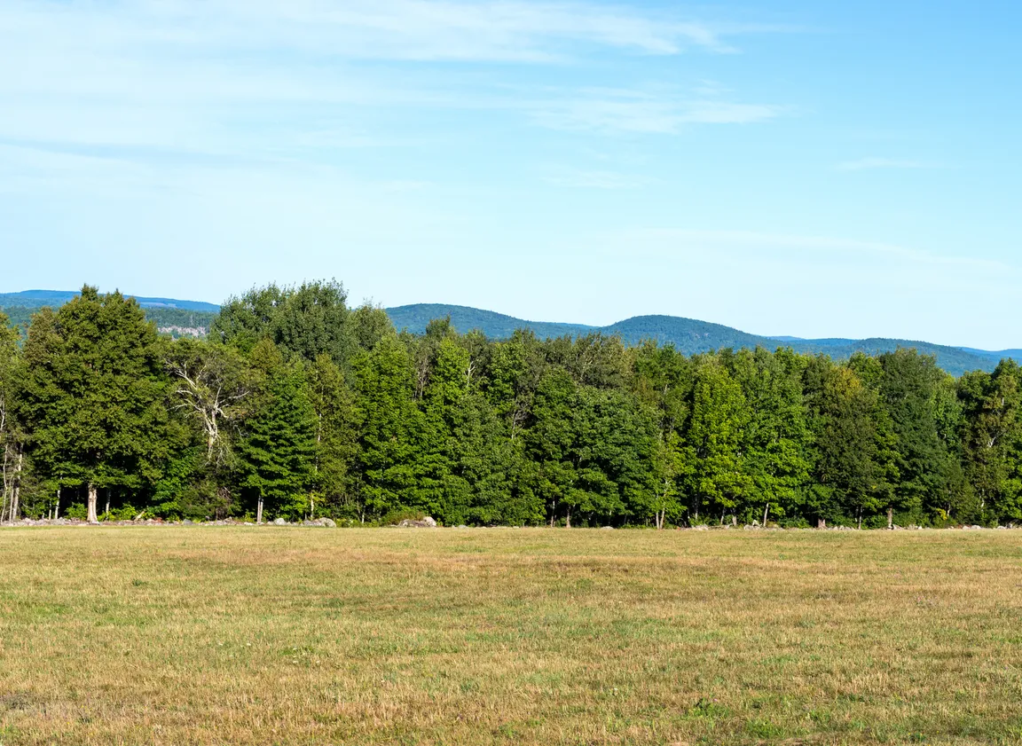 Vacant Land Purchase and Sale Agreement in Texas