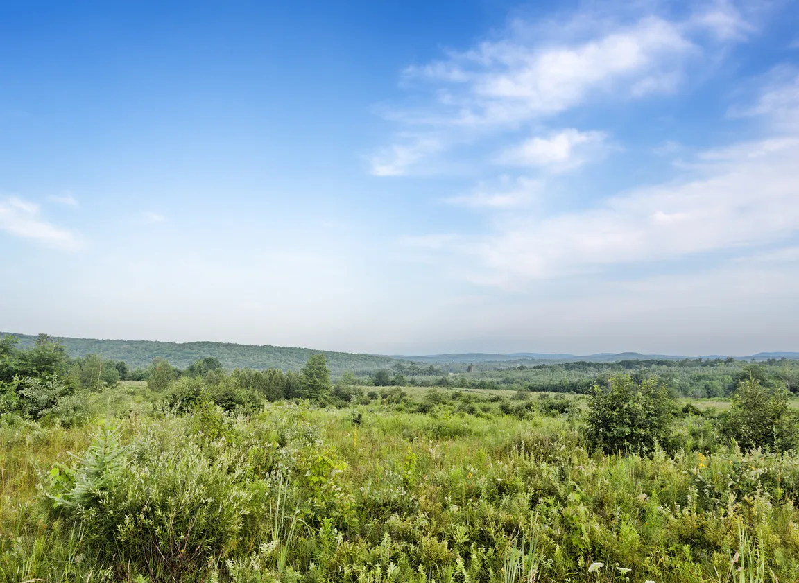 How To Prepare Vacant Land For Sale In Texas hero Dallas