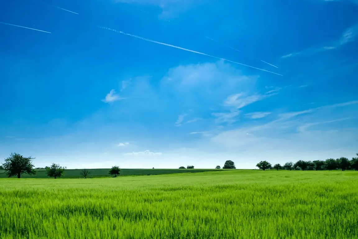 Sell Vacant Land Fast in Texas
