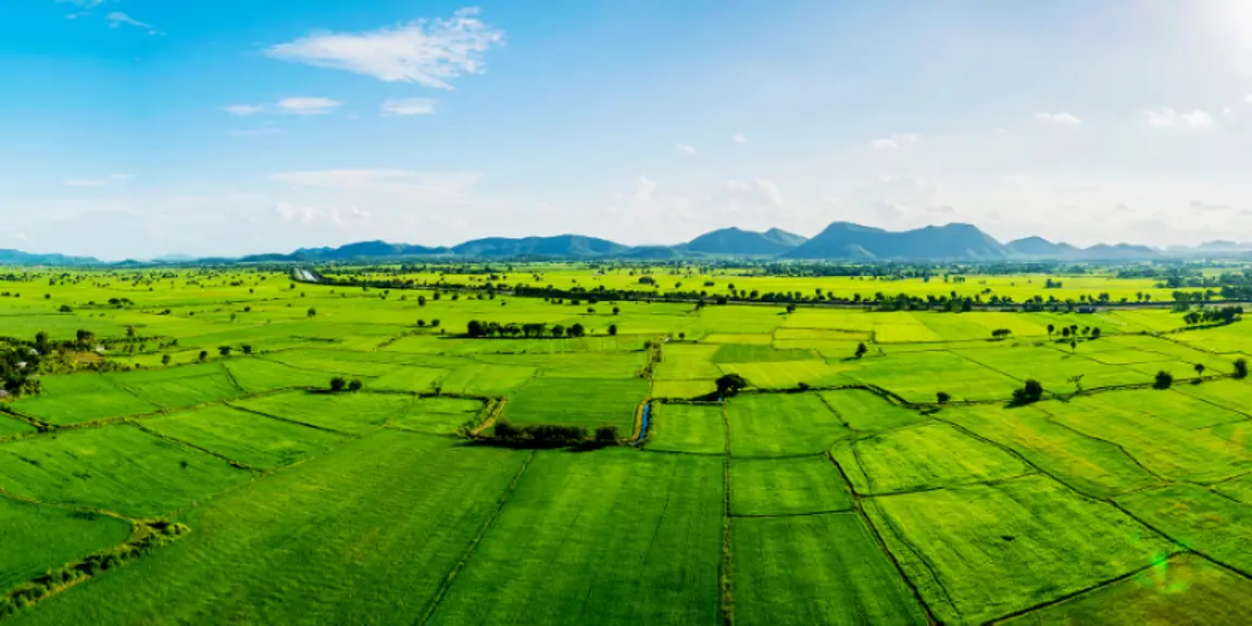 Guide to Selling Rural Land in [market_city]