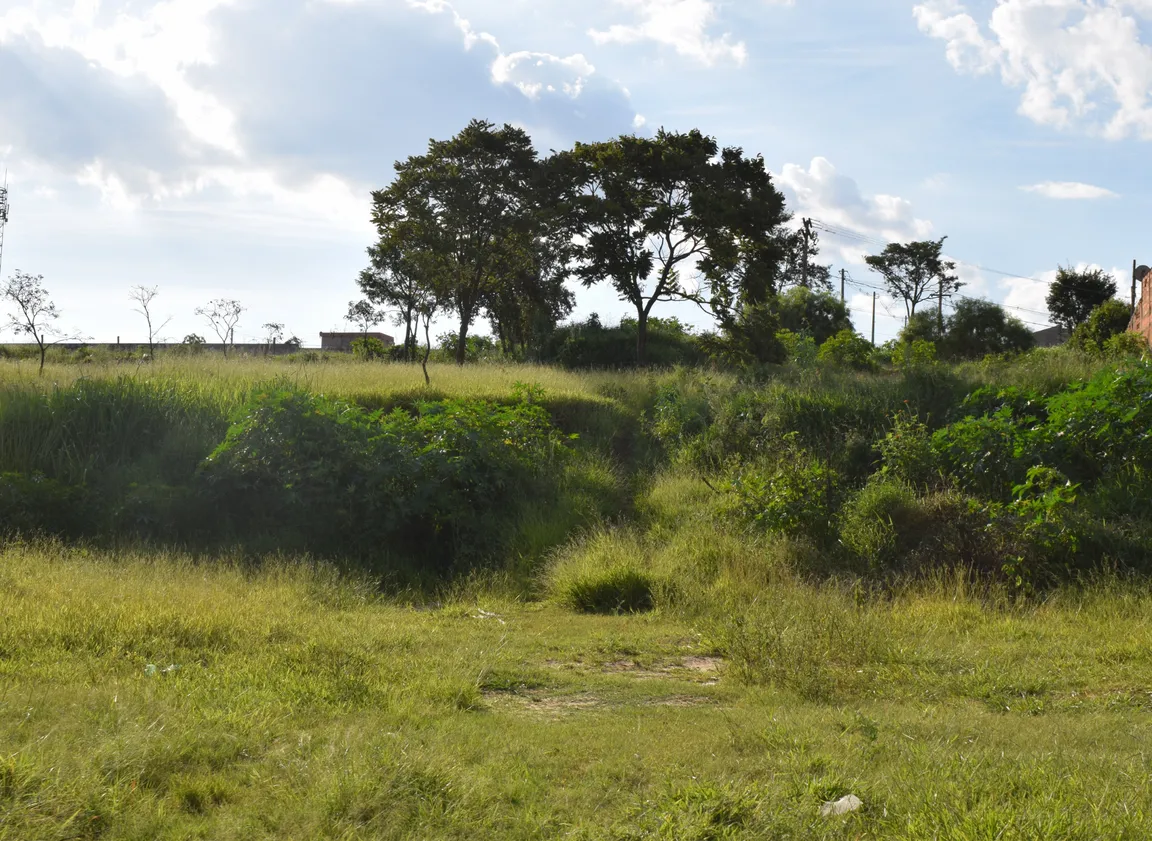 Can Buyers Finance the Purchase of Vacant Land in Texas 