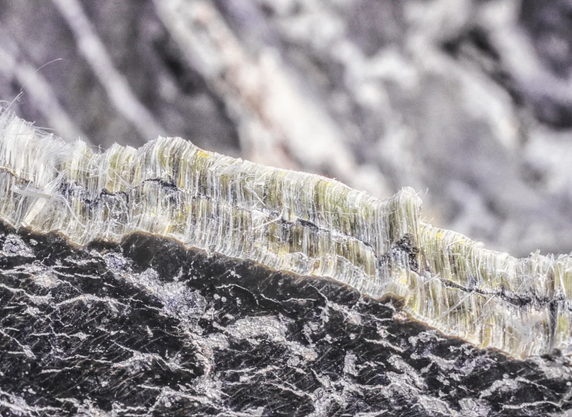 Can You Sell a House With Asbestos In Alabama