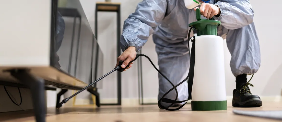 What Affects Termite Inspection Fees Texas