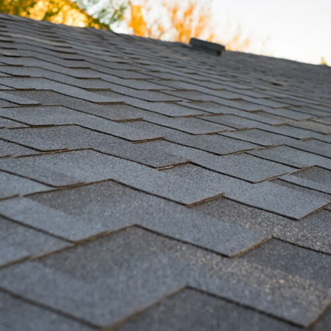 Architectural Shingles