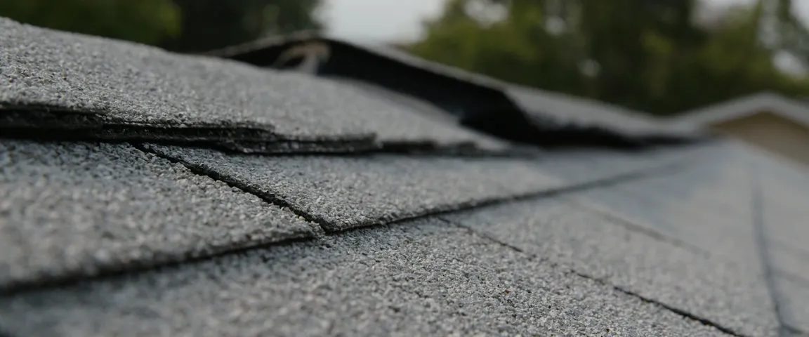 Shingle close up