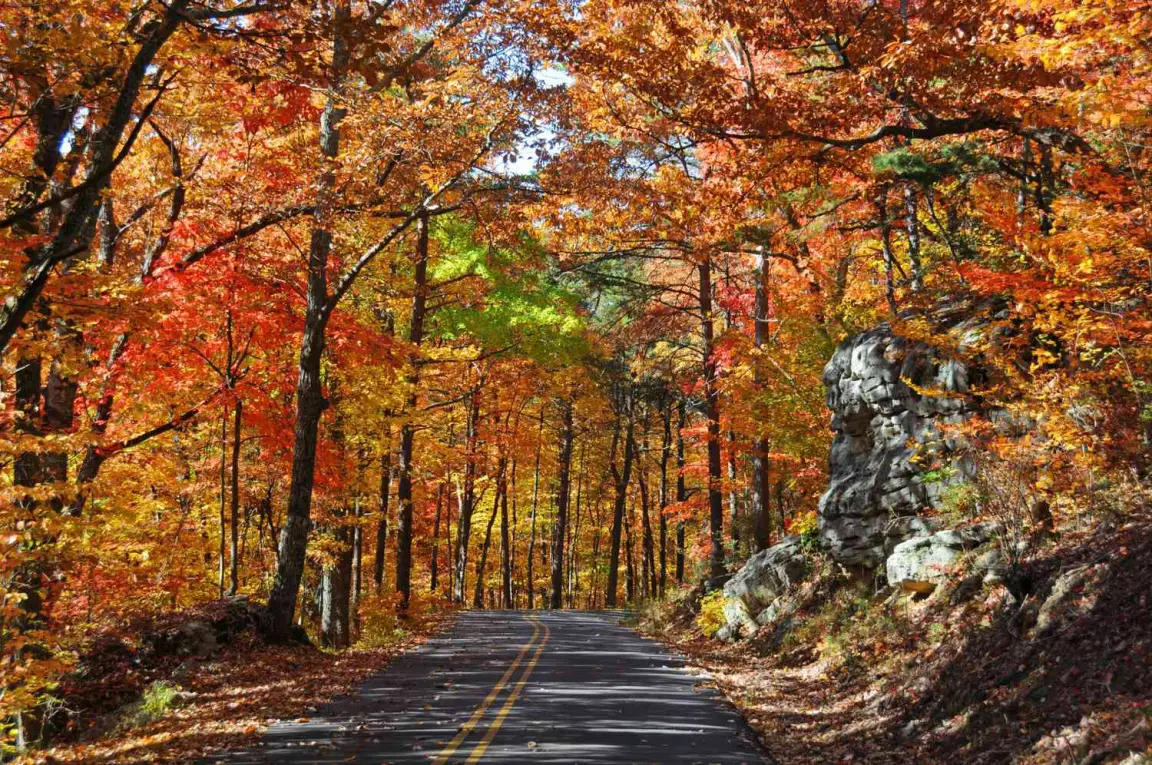 Sell South Carolina Home In Autumn - House Hub Real Estate Solutions