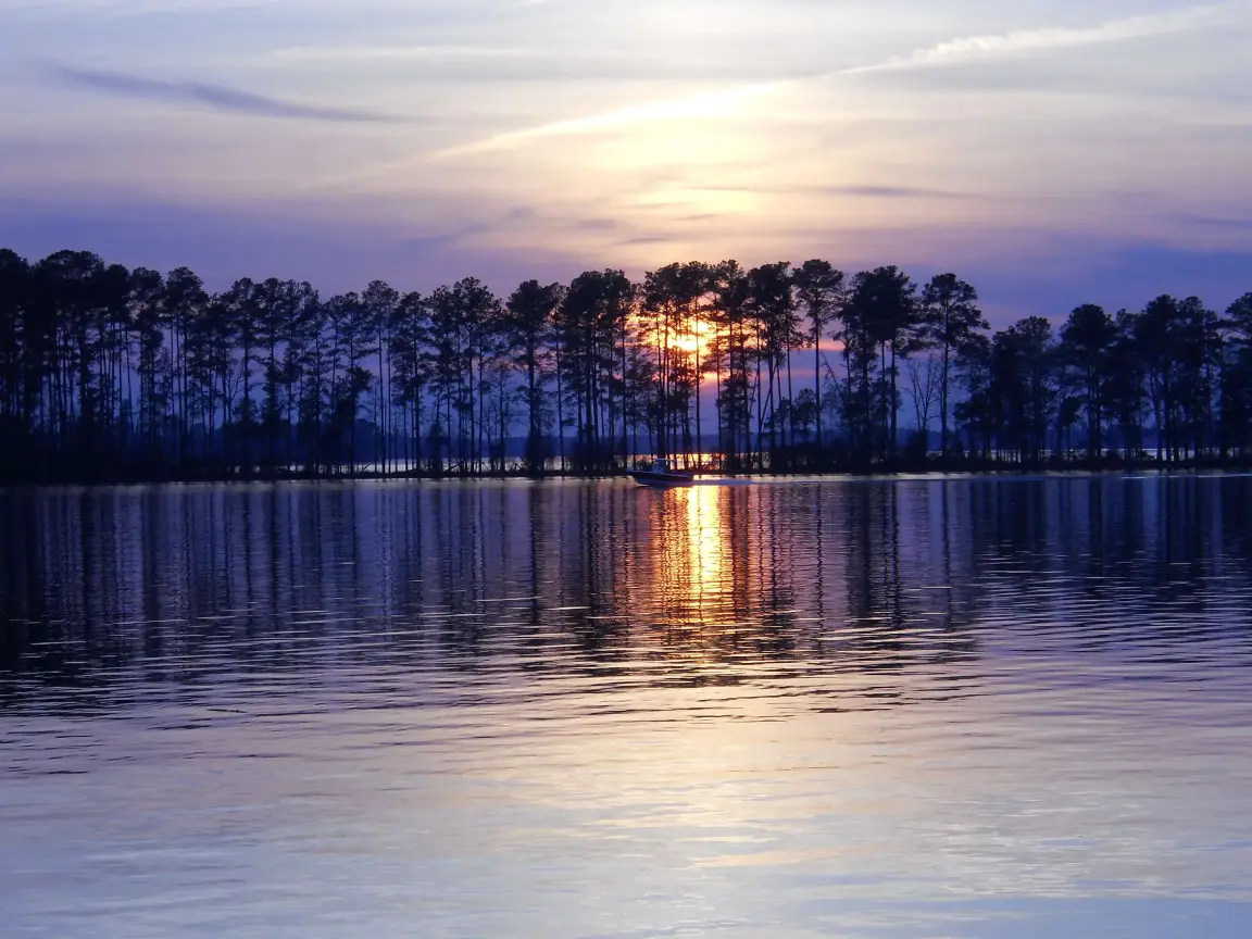 cash home buyers in midlands sc