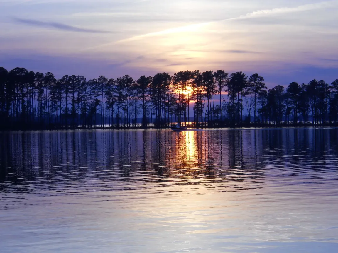 cash home buyers in midlands sc