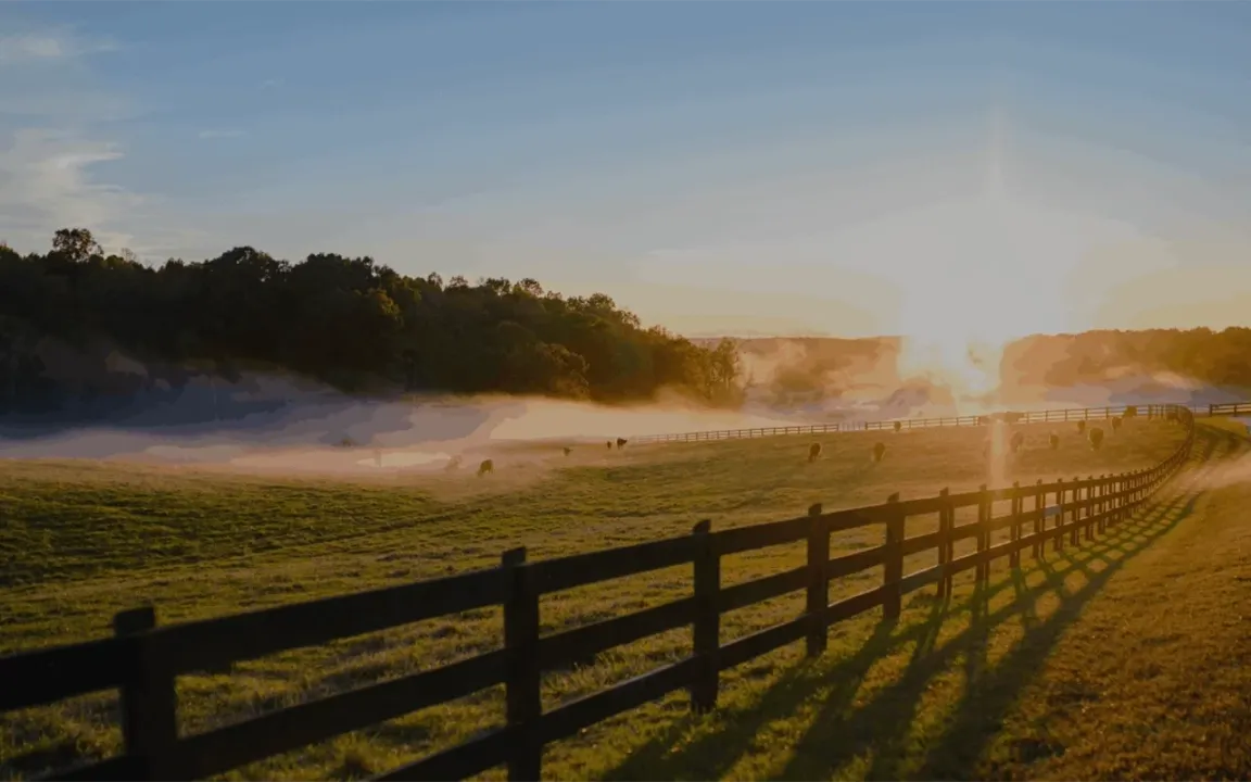 Table Rock Homebuyers — we buy houses in Laurens SC for cash in any condition, fast and as-is.