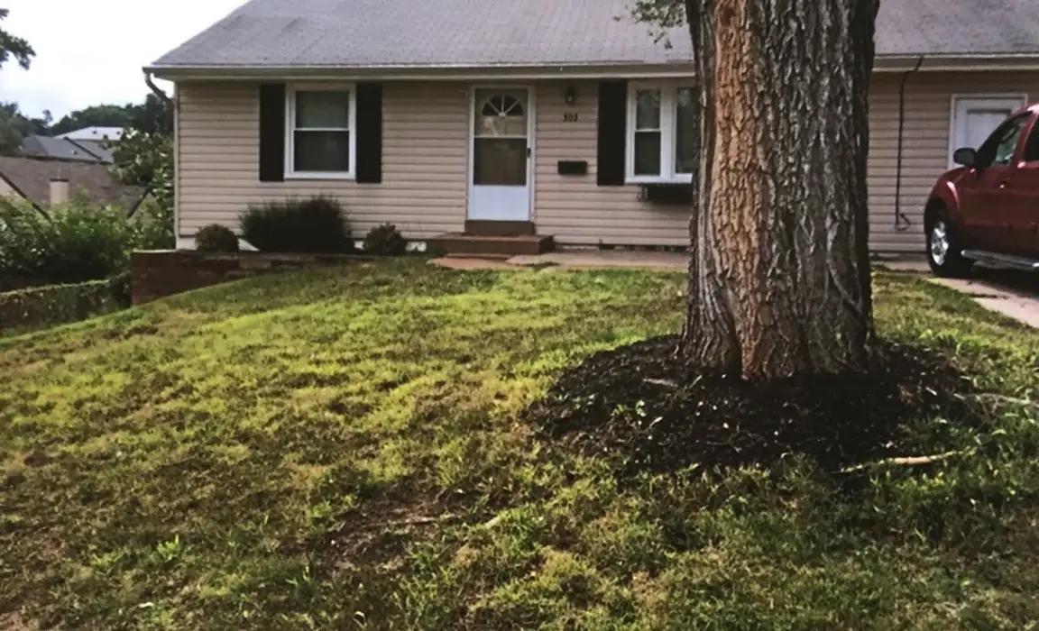 Sell your house Fast St. Louis