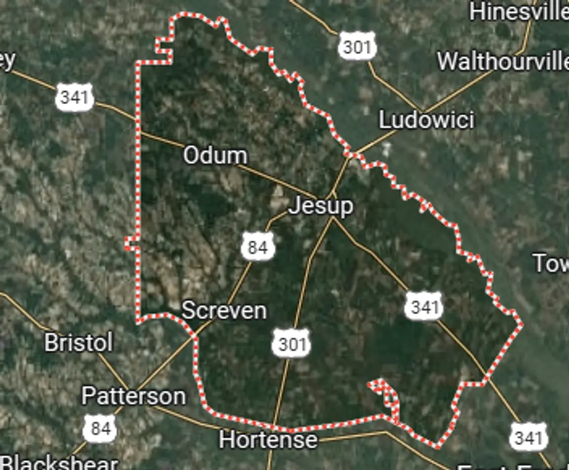 we buy land wayne county georgia