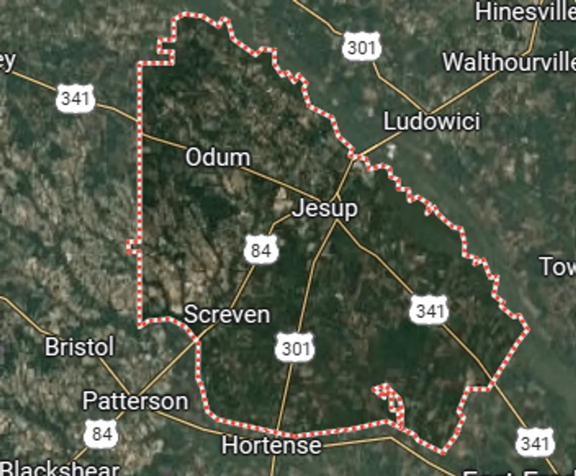 we buy land wayne county georgia