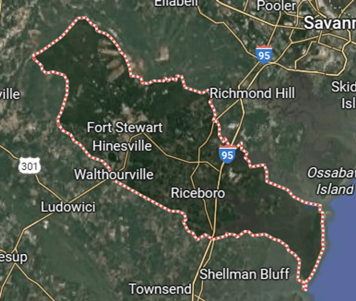 we buy land liberty county georgia