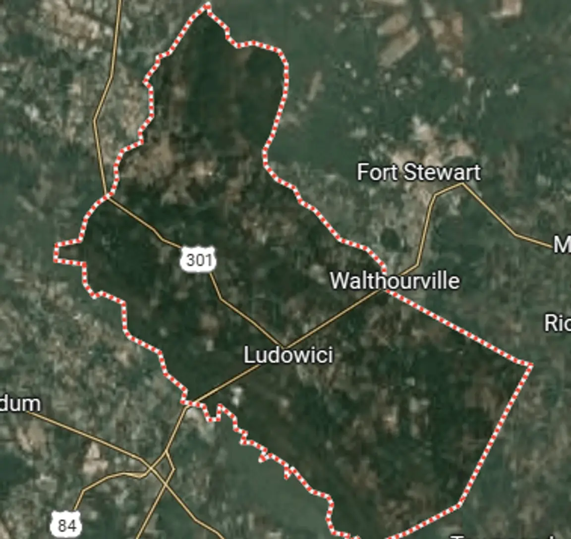 we buy land long county georgia