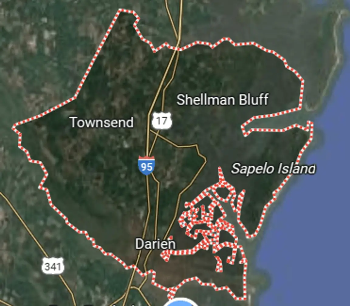 we buy land mcintosh county georgia