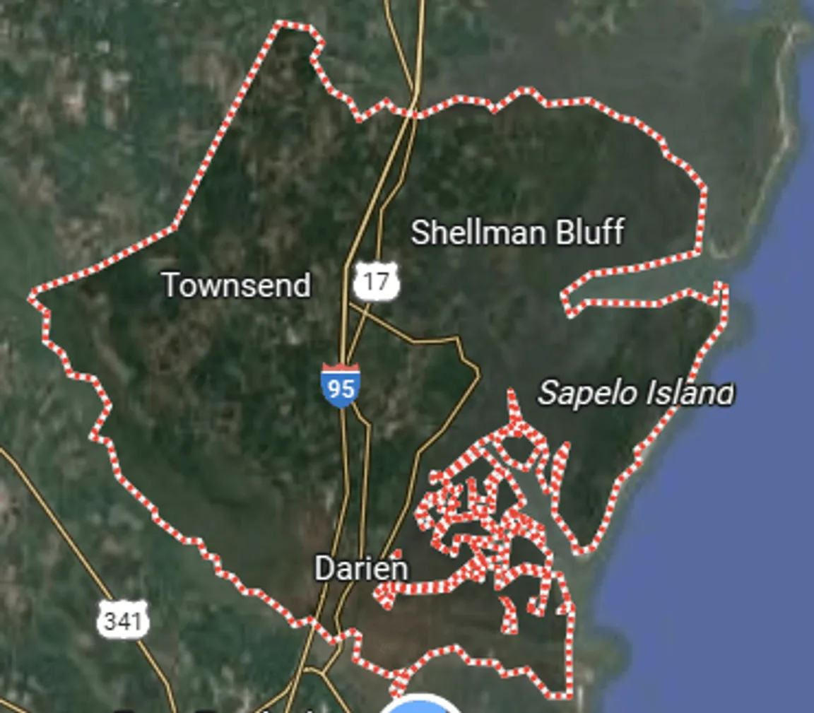 we buy land mcintosh county georgia