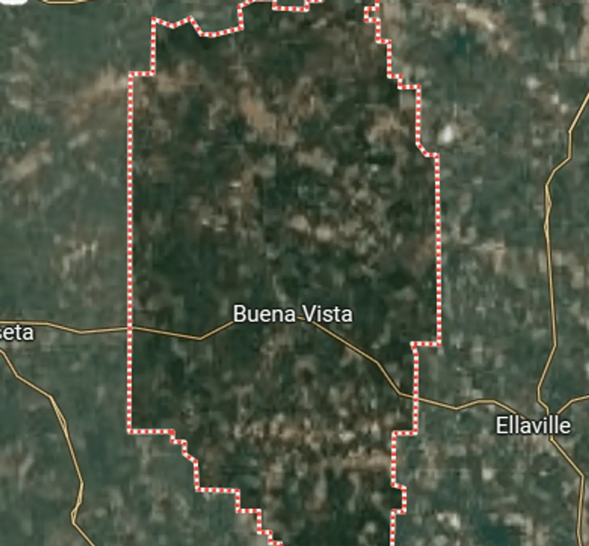 we buy land marion county georgia