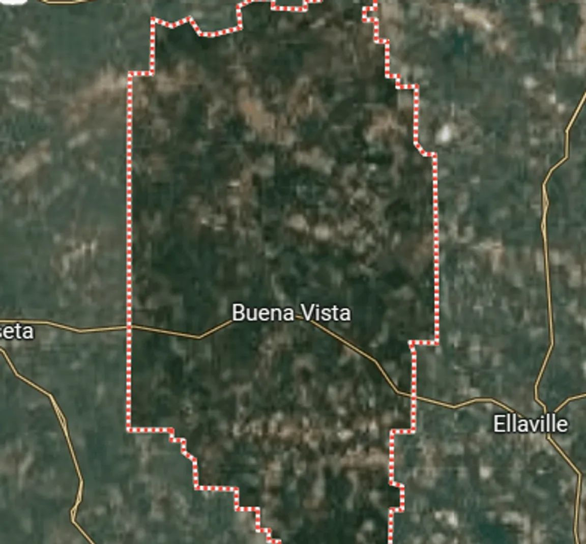 we buy land marion county georgia