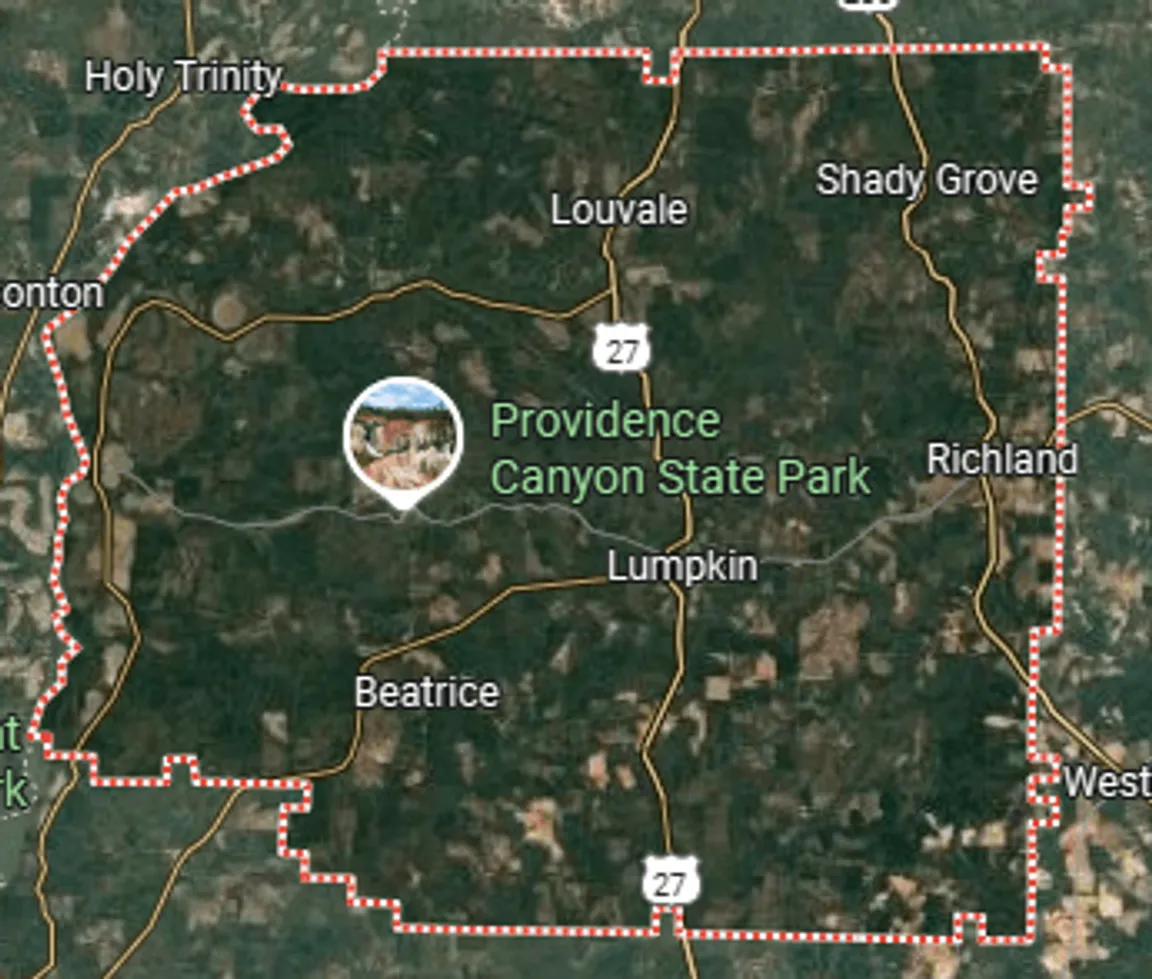 we buy land stewart county georgia