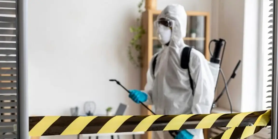 Understanding Asbestos and Its Impact on Property Value