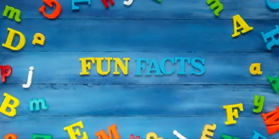 Cool Facts [market_city]