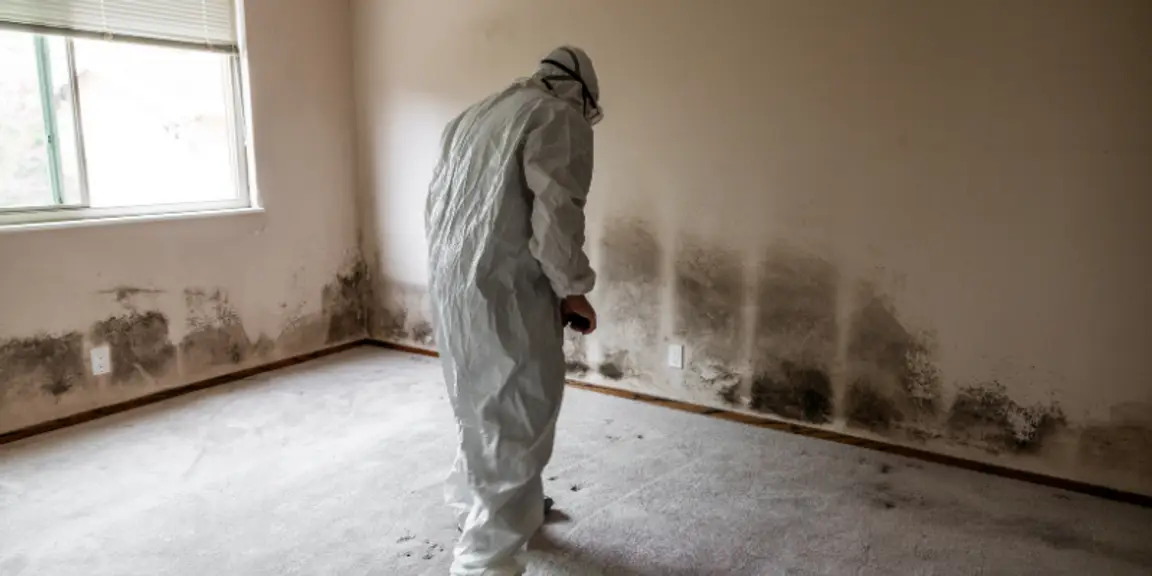 Sell House With Mold in [market_city]
