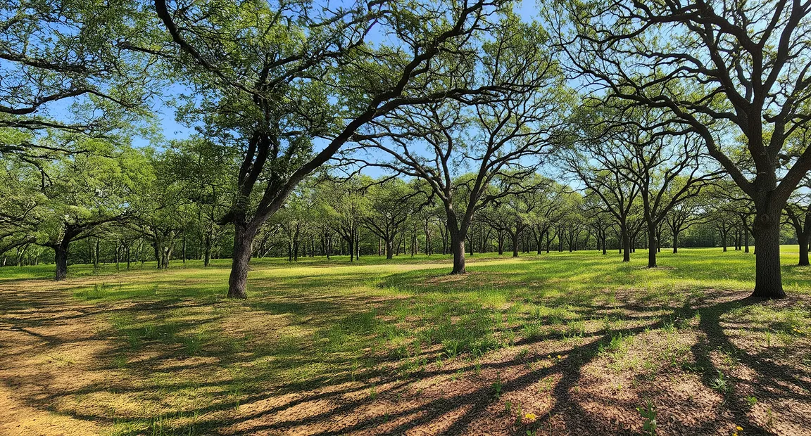 sell land fast Douglas county ga