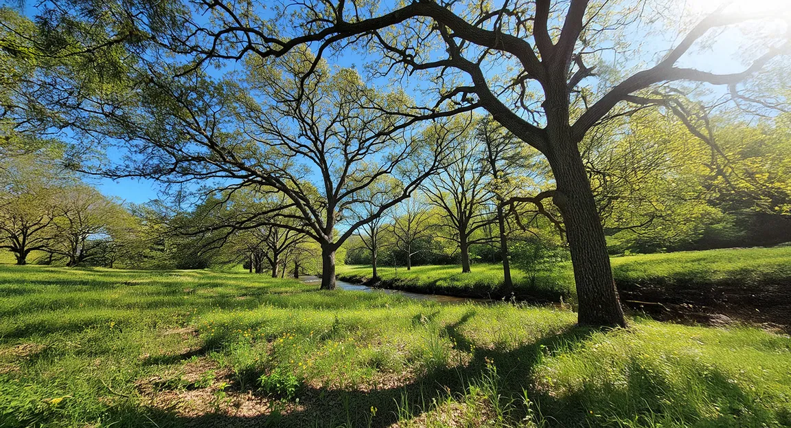 sell land fast Fulton County GA
