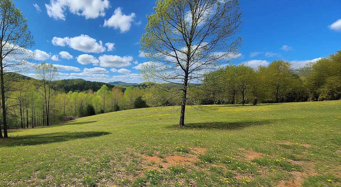 sell land fast Gilmer county ga
