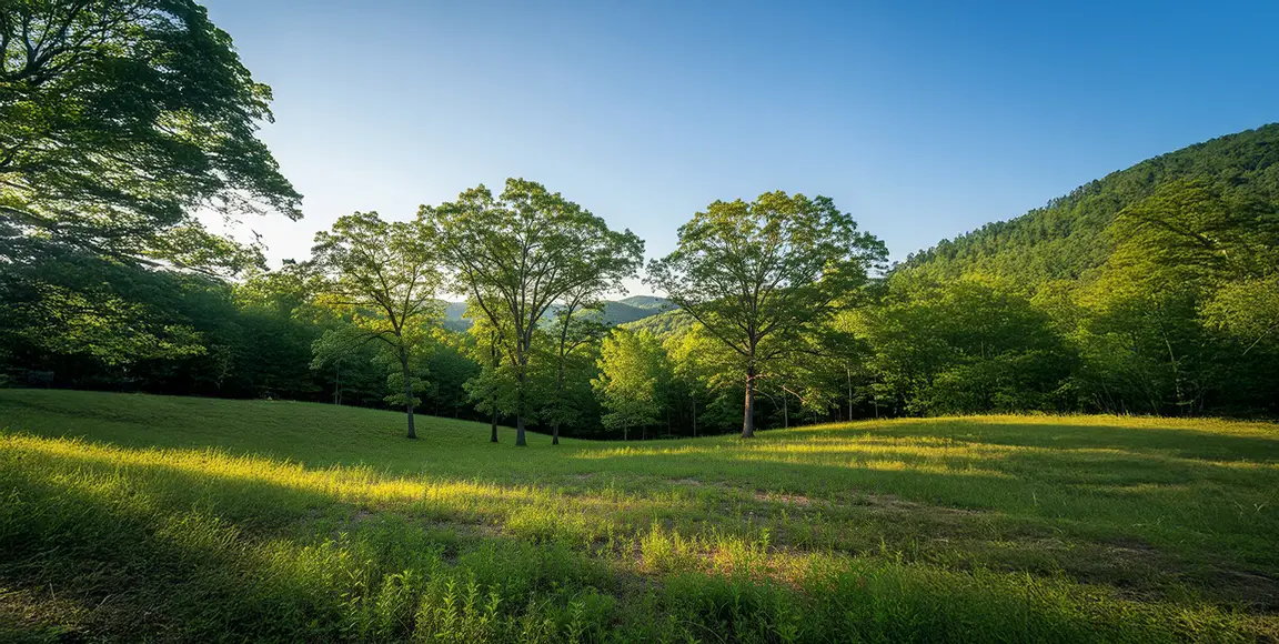 sell land fast in rabun county ga