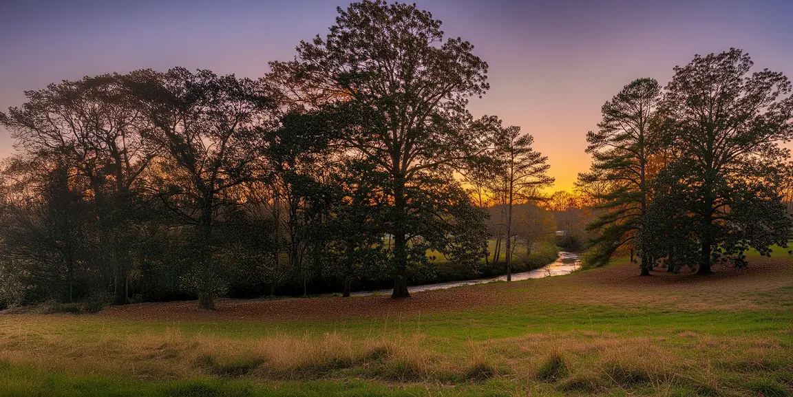 sell land fast Rockdale county GA